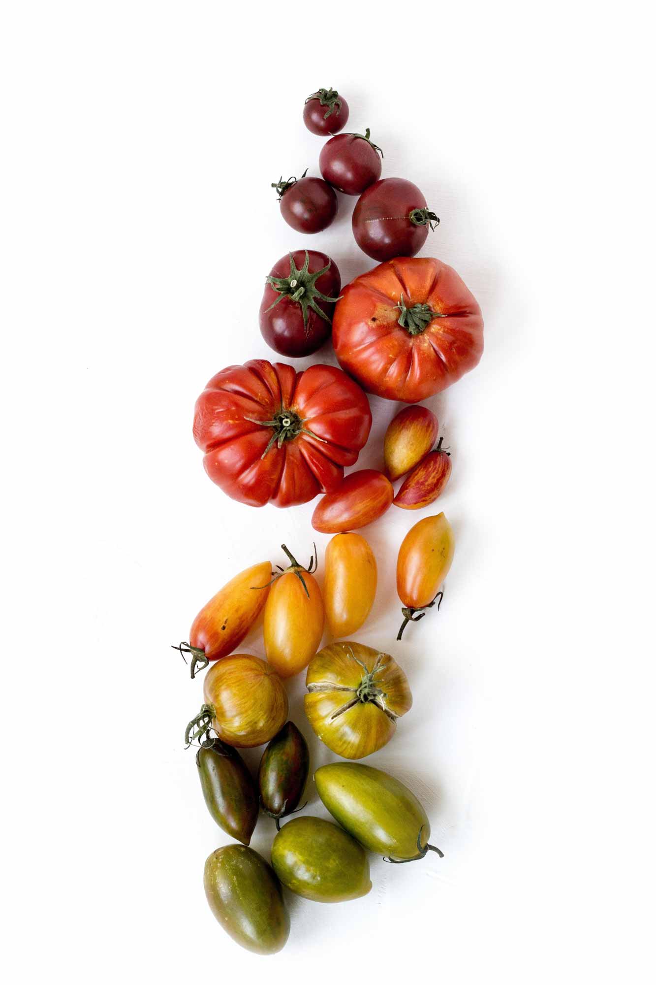 tomato